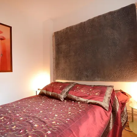 Notre Dame Cosy